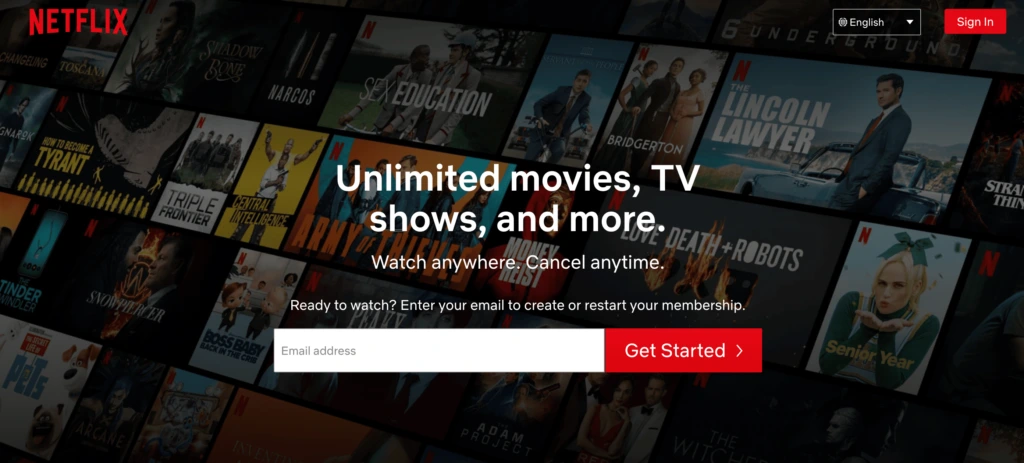 Netflix streaming service 