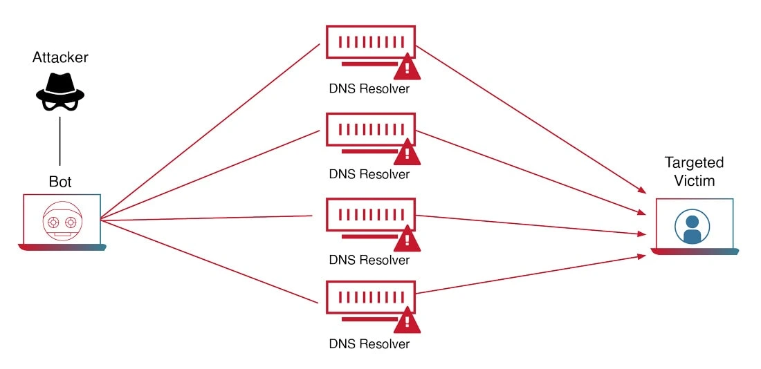 ddos attack structure