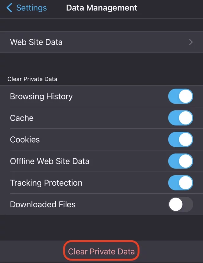 clear private data in firefox