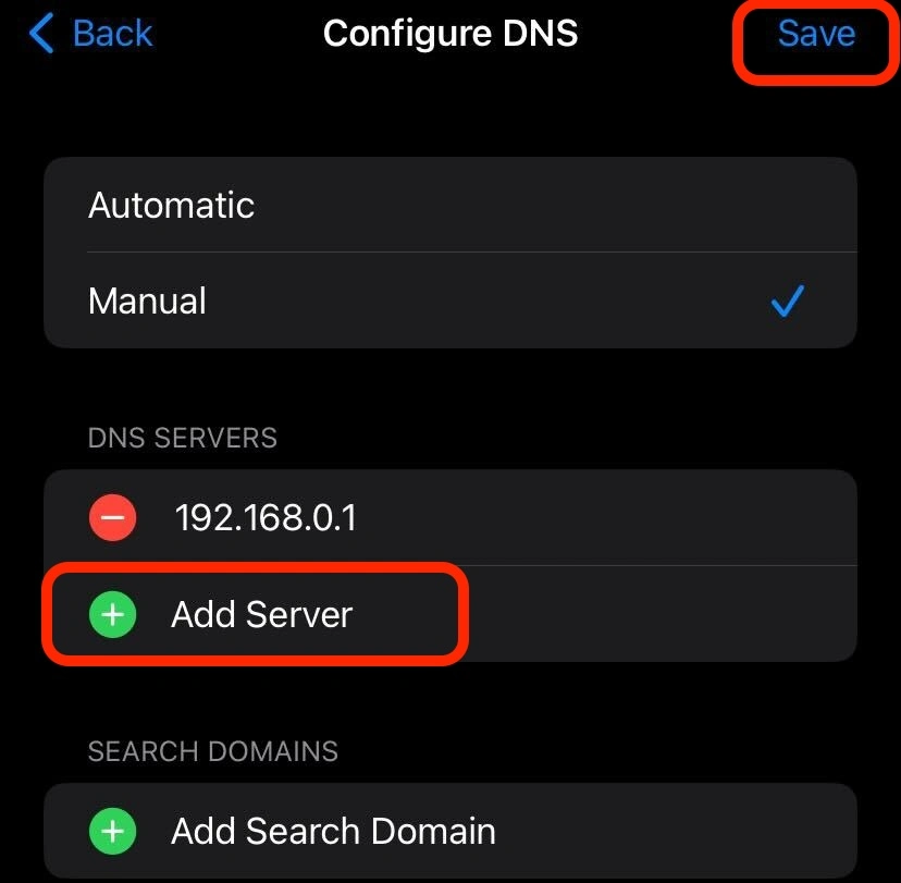add your dns manual
