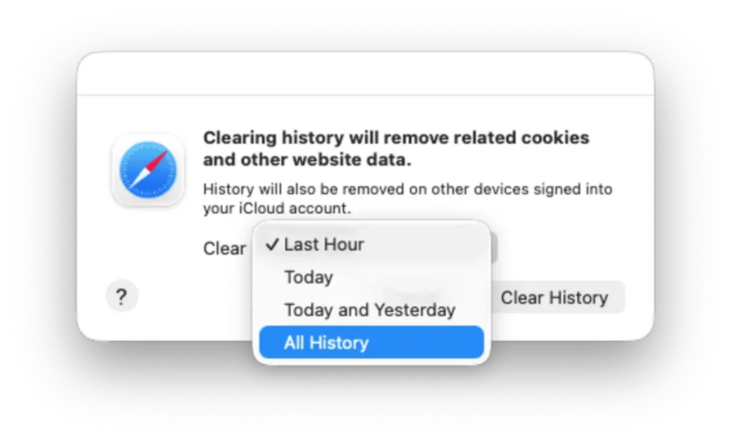 Safari Clear History settings